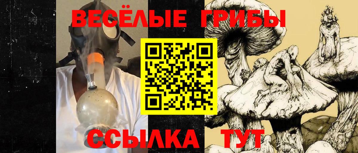 Галлюциногенные грибы Psilocybine cubensis  Вход с VPN  Кубинка  Галлюциногенные грибы Cubensis 