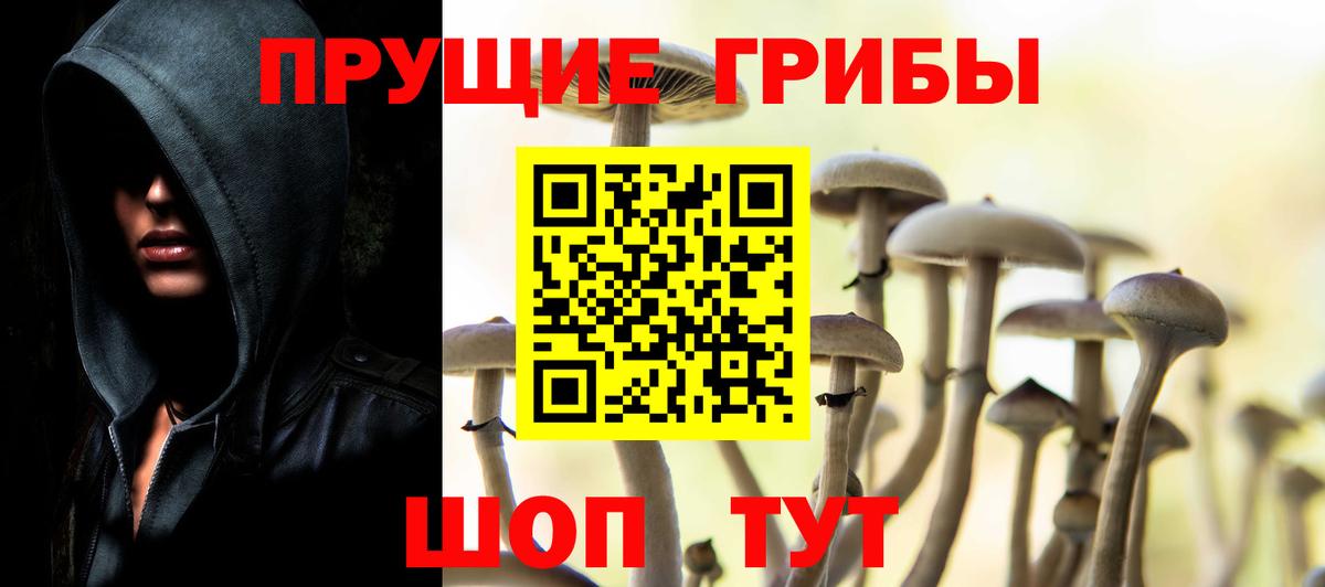 Псилоцибиновые грибы Magic Shrooms Кубинка